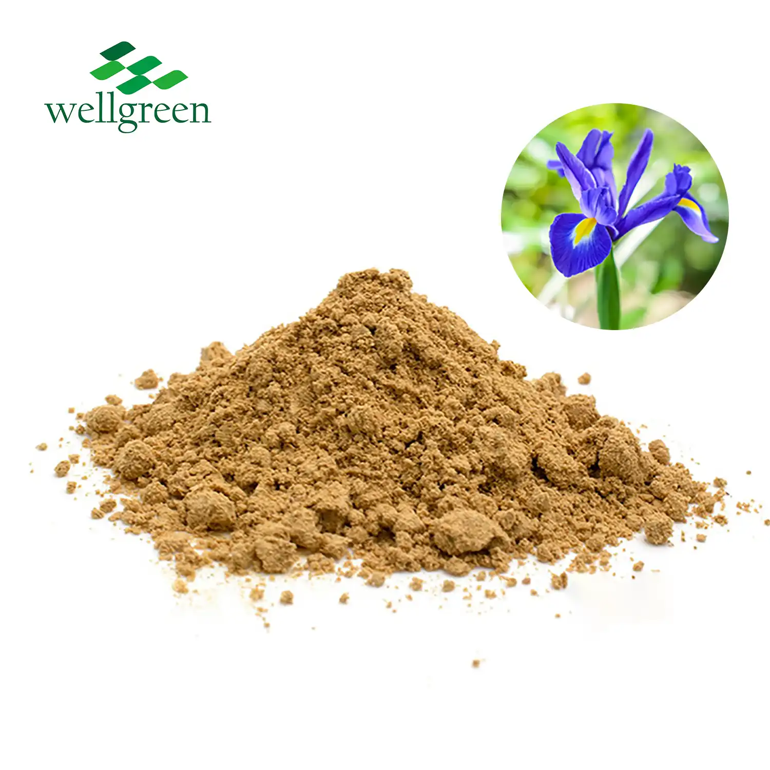 Iris Versicolor Extract